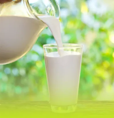 Dietary fiber application example in dairy products